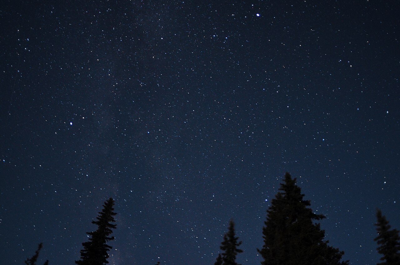 针叶林上方的繁星夜空，作为夜观银河体验意境图